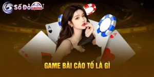 Bài cào