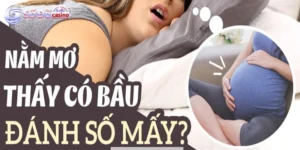 Nằm mơ thấy mình có bầu đánh số may